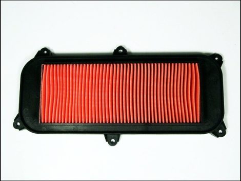 AIR CLEANER ELEMENT GRAND DINK