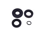 OIL SEAL KIT