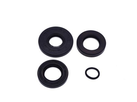 OIL SEAL KIT