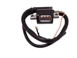 IGNITION COIL JOG 3KJ,APRILIA